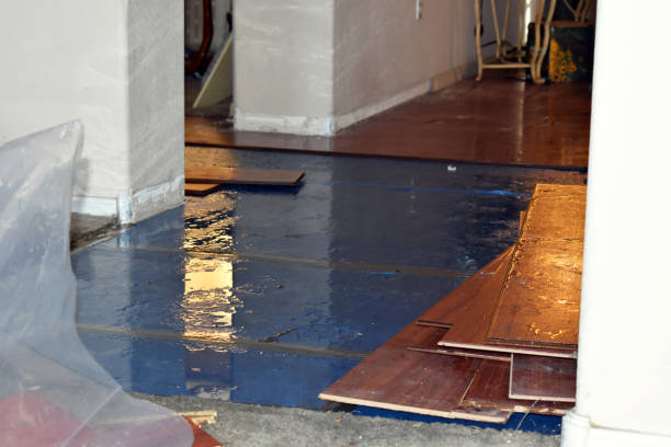 Professional Emergency Water Damage technician working in Windom, TX